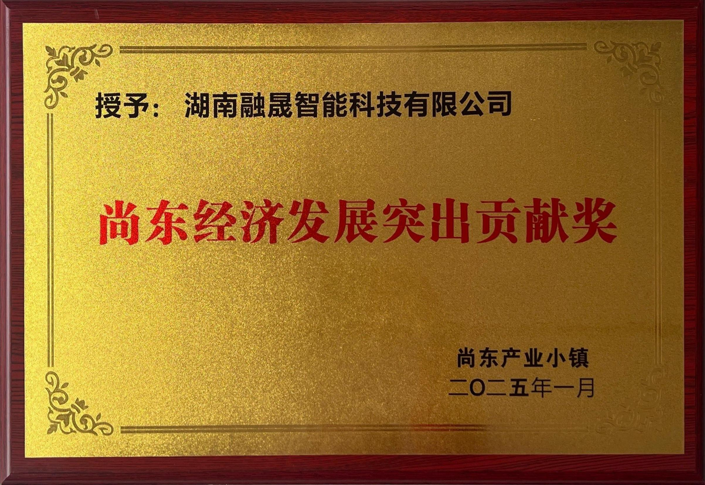 尚东经济发展突出贡献奖